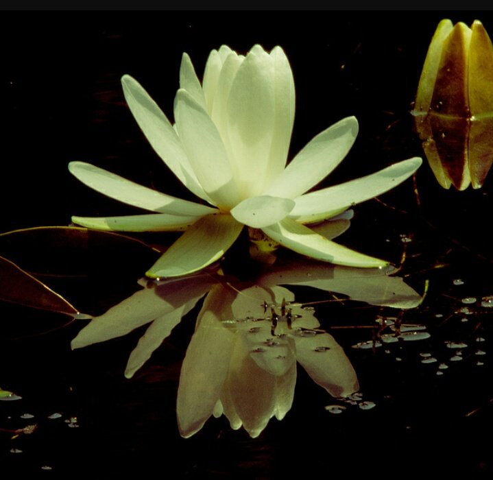HBarkatt's tweet photo. @nico_gaia @myall3000 @ali33322216 WOOOW WOOOW WOOOW beautiful my dear beautiful https://t.co/d3AmNbsZHP