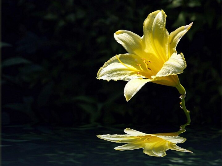 HBarkatt's tweet photo. @nico_gaia @myall3000 @ali33322216 WOOOW WOOOW WOOOW beautiful my dear beautiful https://t.co/d3AmNbsZHP