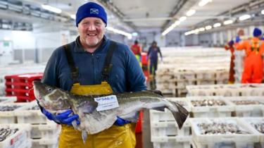 BD_Stew's tweet photo. North Sea #cod can be eaten with 'clear conscience' https://t.co/ROSWNkbdoC #fisheries #seafood #ecolabel #OceanOptimism https://t.co/DsHsZJbUP2