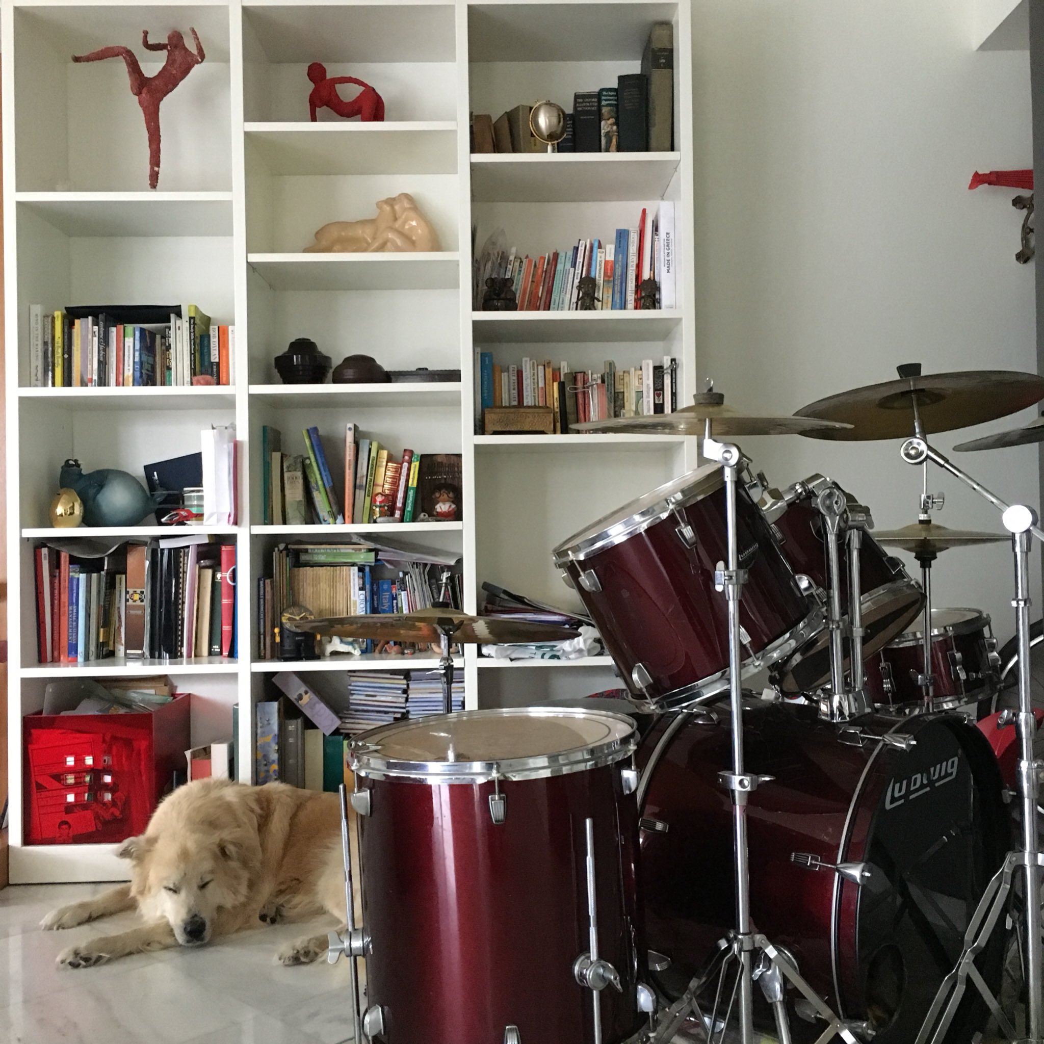 燈里 台湾のハッピーな猫と犬https T Co Gswp1pknyf T Co Qm0lfnycvx Twitter