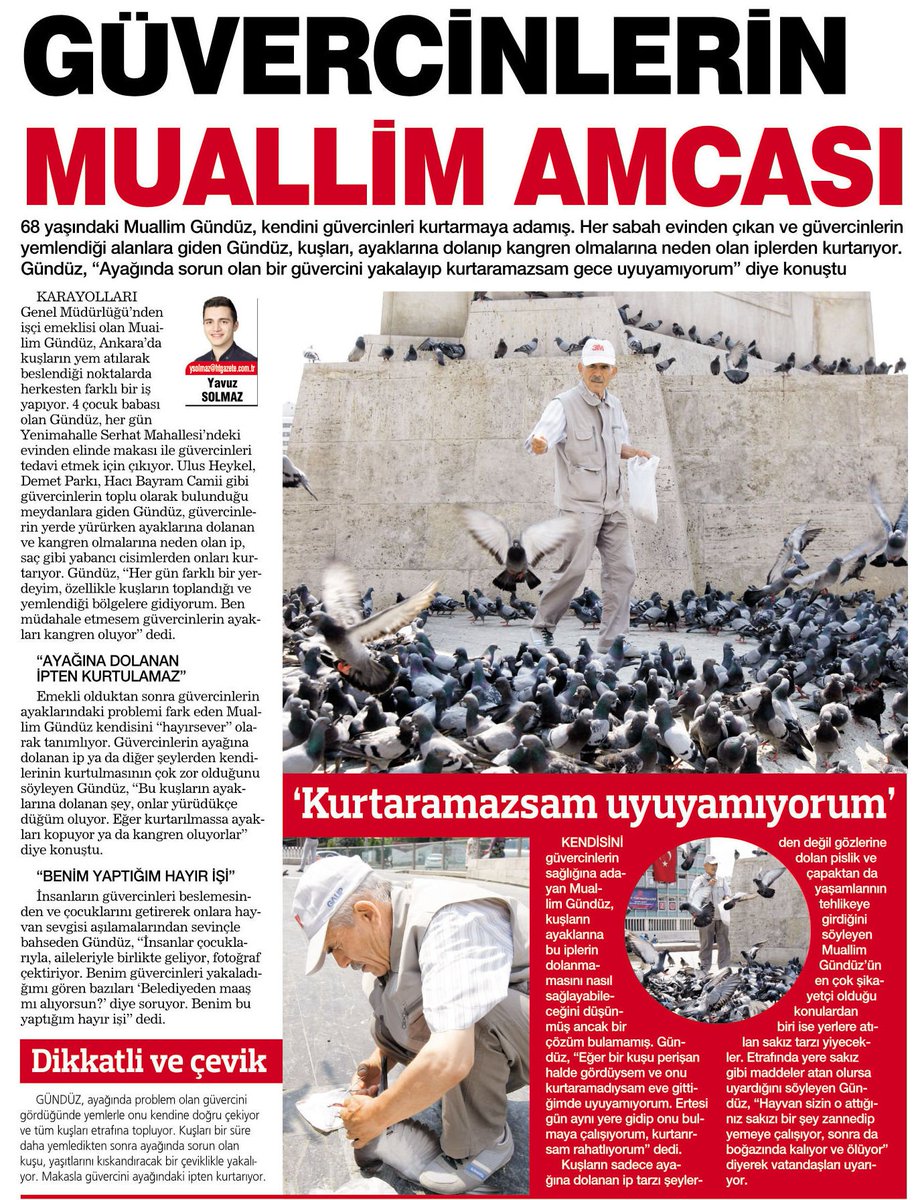HABERTURKANKARA's tweet photo. Güvercinlerin Muallim Amca'sı Muallim Gündüz, güzel yüreği ve elinde makasıyla ayağına ip dolanan kuşların yardımına koşuyor https://t.co/89mAA9LrJD