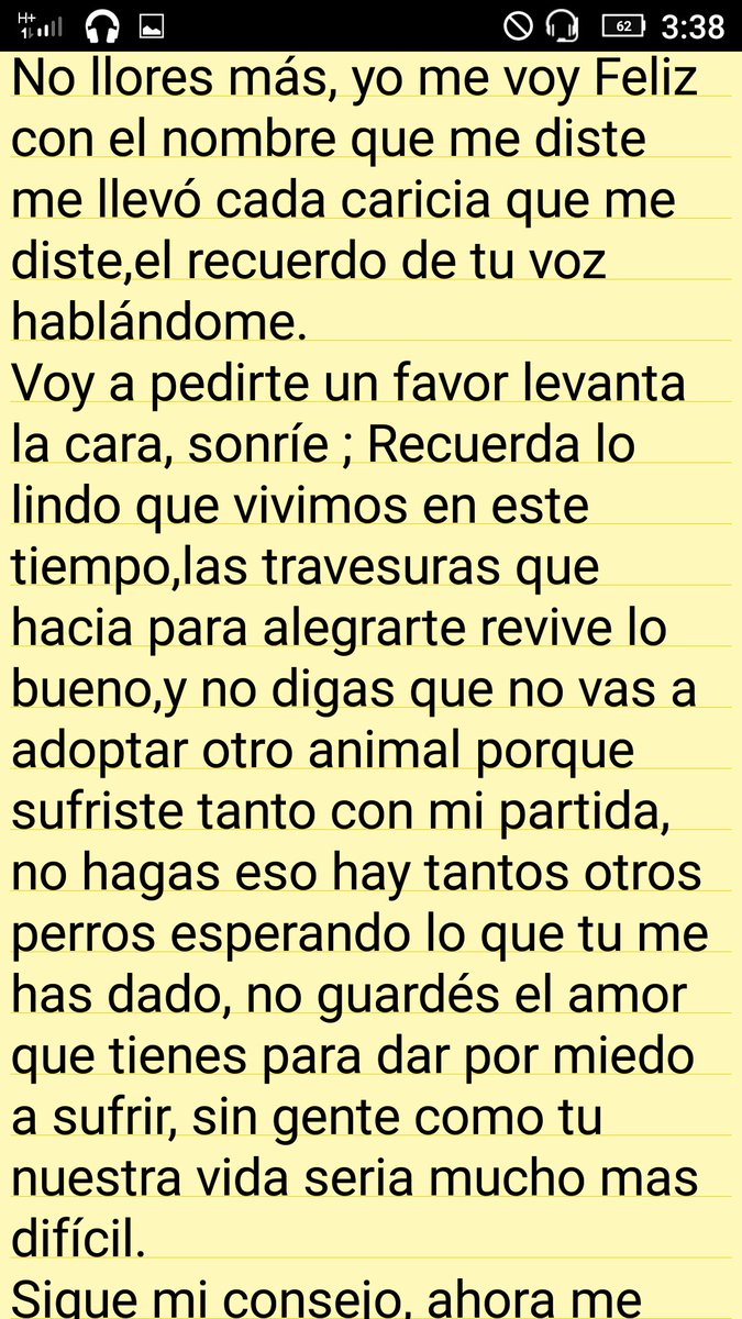 Cachesposito's tweet photo. Te voy a llorar toda la vida. Pocas personas entenderán este vacío y este dolor tan grande que me dejaste,hasta luego mi bebe 🐕💔 https://t.co/b5cQG3pjfX