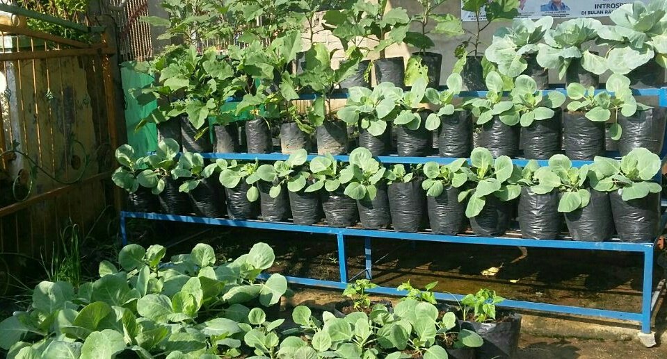 Mulailah dari yg kecil.
Sehat dan Bergizi
<a href="/InfoBDL/">Info Bandar Lampung™</a> <a href="/TunasHijauID/">TunasHijau Indonesia</a>  <a href="/HpdkiLampung/">DPD HPDKI Lampung</a> <a href="/MaporinaLampung/">#MasyarakatOrganik</a> <a href="/DutaPeternakan/">Duta Peternakan</a>