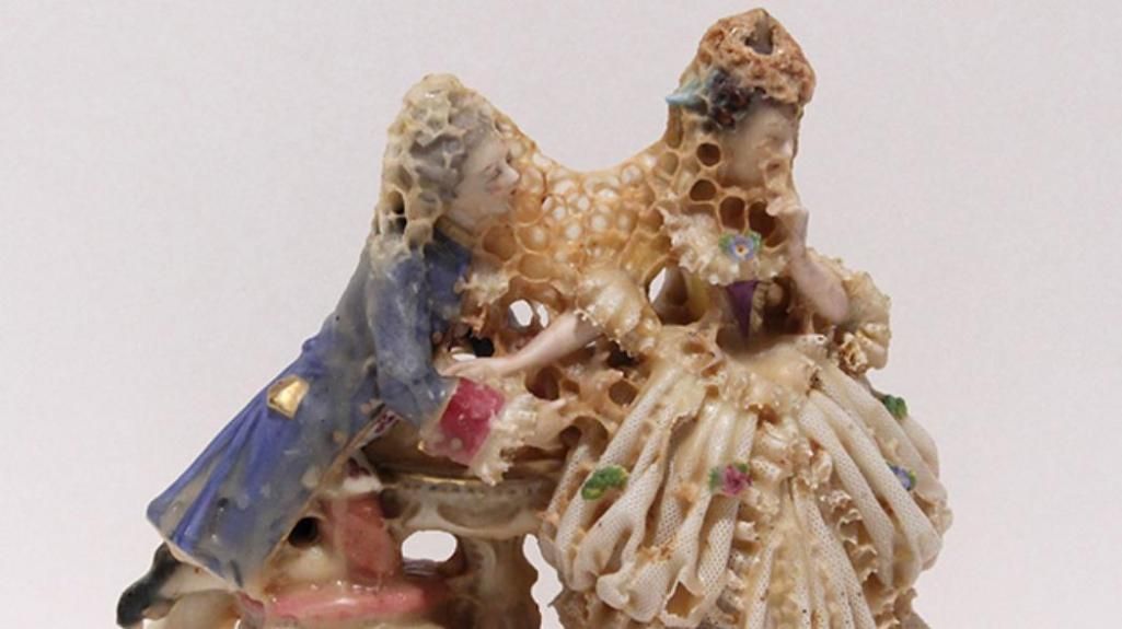 urbanestunner's tweet photo. This is what happens when humans use animals to make #art https://t.co/e3JhtUWbSL via @creatorsproject https://t.co/C3wfDGKie8