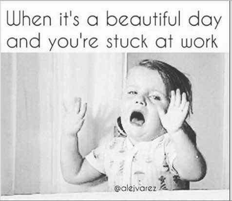 FilsHair's tweet photo. #hairdresserproblems #heat #summertimes https://t.co/c0Vanm6w6E