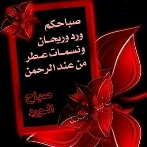 gdcbccc's tweet photo. @abeer19ar @njjjmmk https://t.co/W8lsbCqcVz