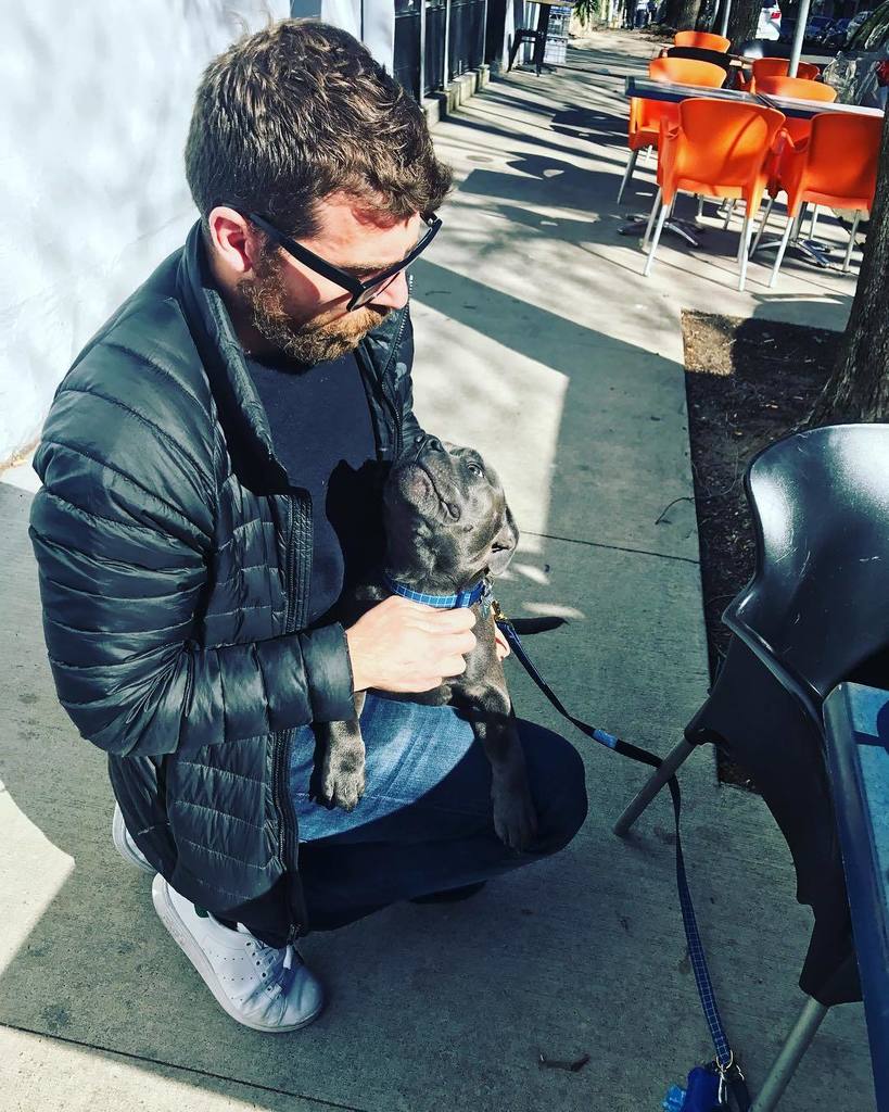 LoukakisThinks's tweet photo. Love at first sight feat @jaslittle and misc puppy.  #dog #goodboysofinstagram #pupp #dogswholikecuddles https://t.co/tf1mtEKKod https://t.co/Ht1hJL1ZEL