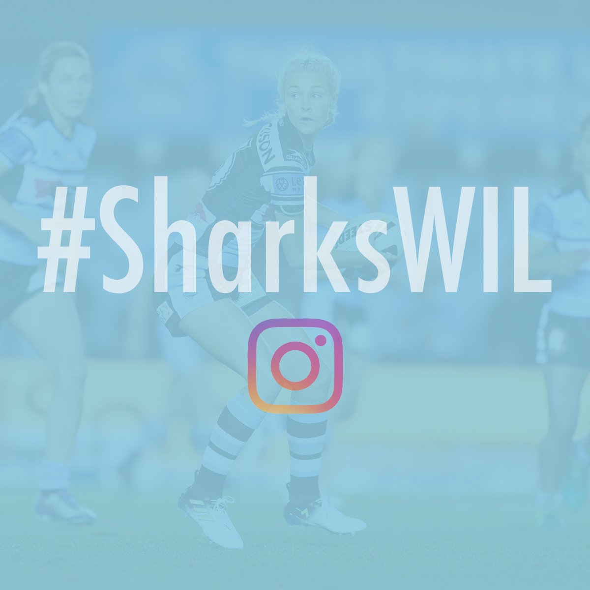 cronullasharks's tweet photo. To celebrate all of our #WomenInLeague, we want you to share your #SharksWIL photos.
#SharksForever๐ฆ https://t.co/PxZ7vdOEAz