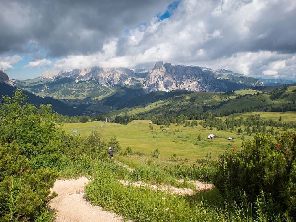 Futzipelz's tweet photo. Auf dem Weg zum Gipfel. #settsass https://t.co/4FJrfpn48s https://t.co/0InUKs5qUt
