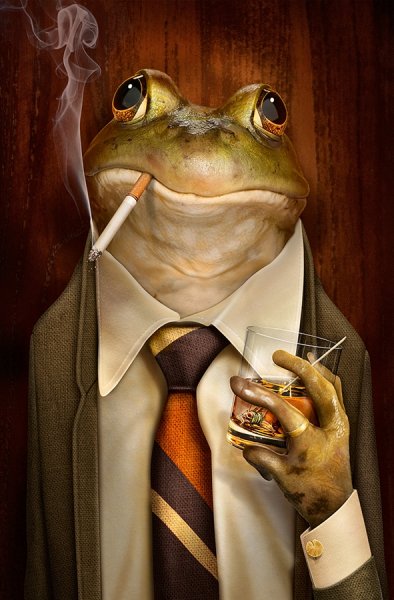 BleuBlancDunk2's tweet photo. Joyeux anniversaire @jeremybeisser le papa d'Hearthnews, sans qui rien ne serait possible ๐๐
#BossFrog https://t.co/kKRJ6B3u5j