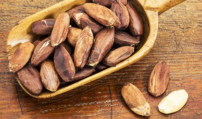 VegNews's tweet photo. The newest #dairyfree yogurt is made from #pilinut + rumored to taste like #foiegras. Would you hit it?! #vegan >> https://t.co/jN8pGSAvpF https://t.co/ohqs4jyqmT