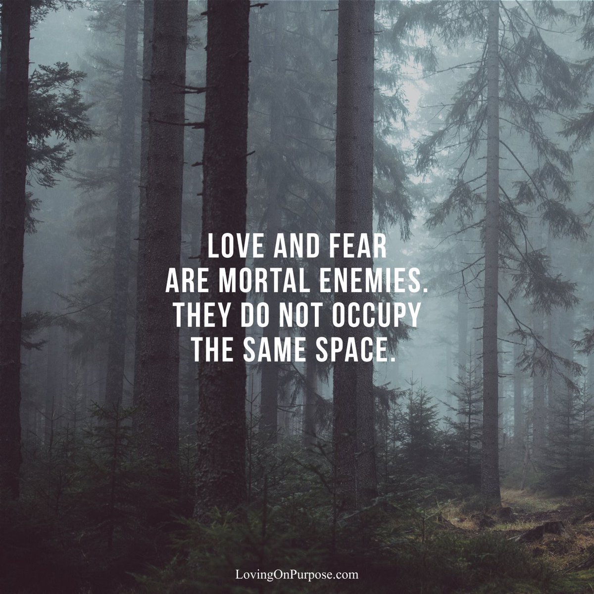 'We have to remove the fear in our relationships so that love can take root' Danny Silk #kylo  #theydontmixwell think water and oil