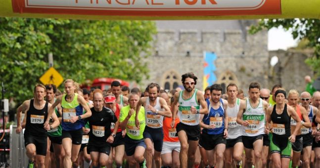 Love Fingal Dublin tweet media