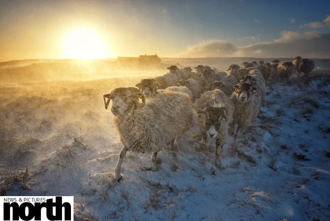 PaulKingstonITV's tweet photo. Thrilled to say I've been shortlisted for @RMetS/@The_RPS Weather Photographer 2017. You may kindly vote for me here https://t.co/YpembwTvMV https://t.co/r7unwRNEqL