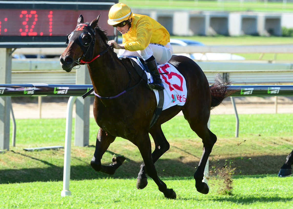 nzracingnews's tweet photo. @WaikatoStud @KarakaChat grad #CruisingSpeed looking to cap great season for @grantjmorgan in Lstd Tattersalls Mile https://t.co/luNfX5w2sW https://t.co/05nse3X9Sc