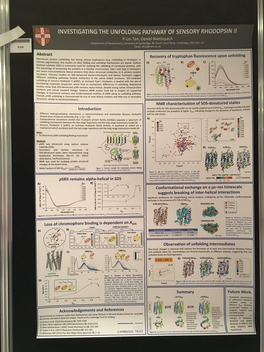 YiLeiT's tweet photo. Poster is up! Come find out about an orange-coloured membrane protein unfolding in SDS at P913:B248 #Biophysics2017 #DNLab #NMR https://t.co/0PQLqXNVB7