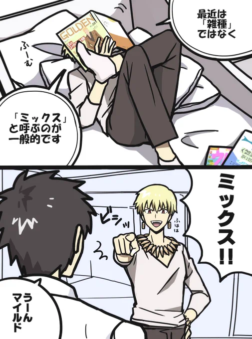 呼び方
※FGO 