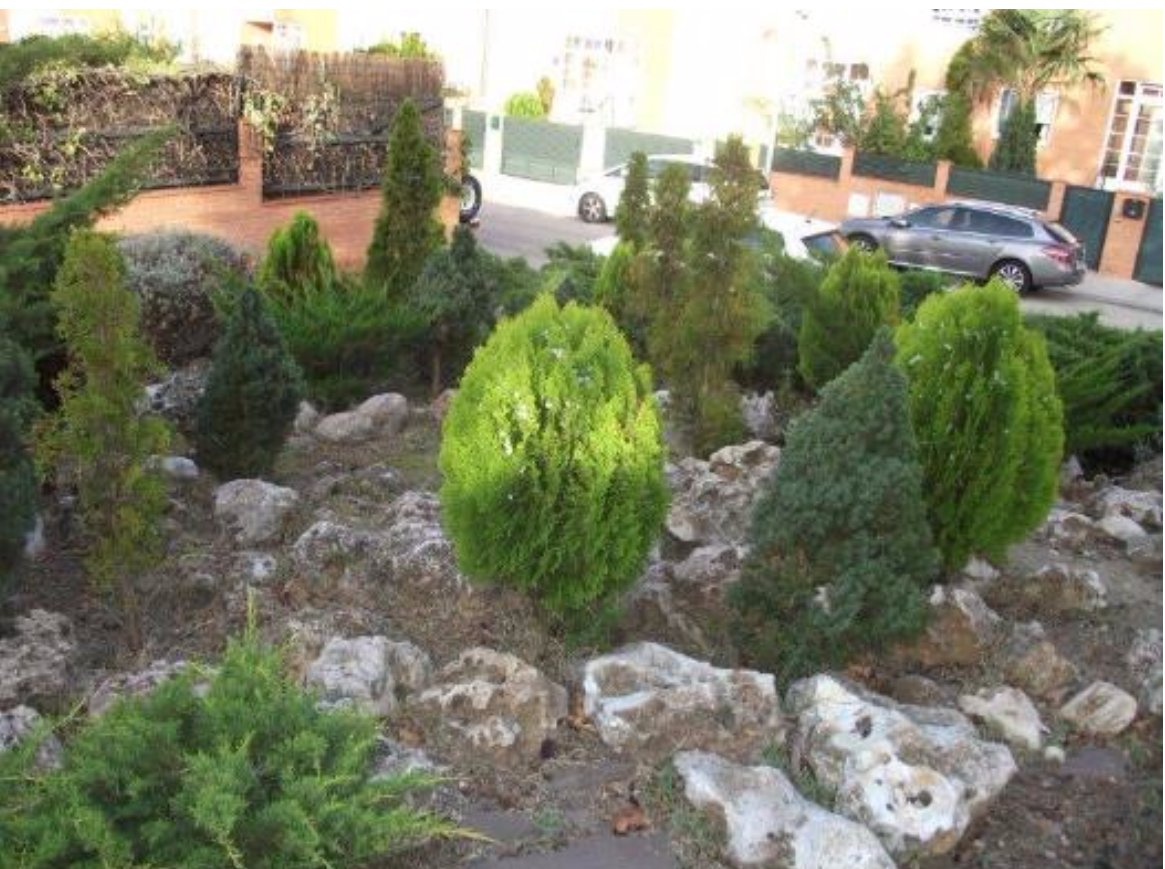 PlantetaSano's tweet photo. #ParquesConEncanto Victoria Rubio en #BoadillaDelMonte https://t.co/UZs4YbspKa