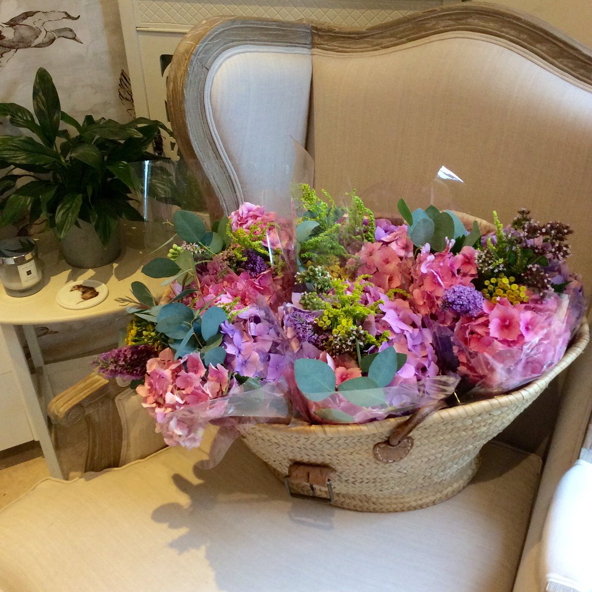 Flossie&Bumble tweet media