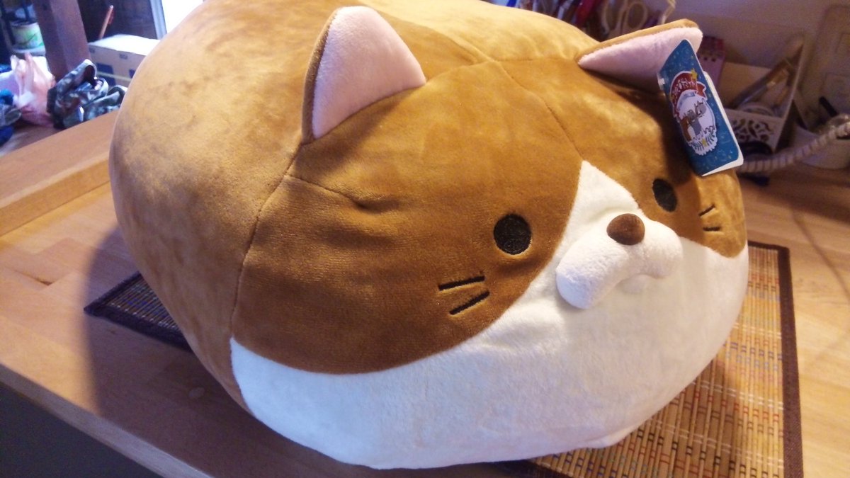 nyanko0066's tweet photo. 知ってる人少ないと思うけど、俺の相棒山本さんの目の整形手術をした。ご覧あれｗｗｗ https://t.co/0BKrRHivW5