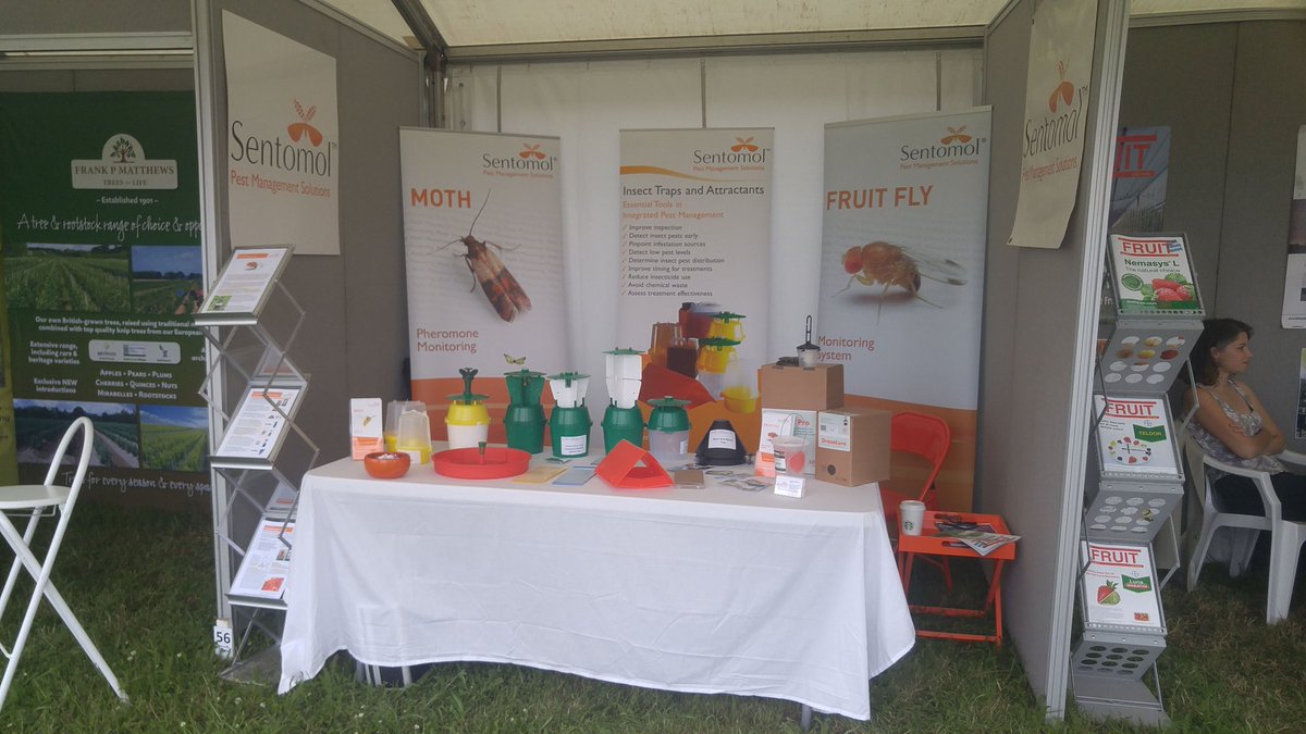 Sentomol's tweet photo. The overnight rain has dried off nicely. @FruitFocus looks to be yet another fine day. #insecttraps #trapping #pheromone #semiochemical https://t.co/GalCXZYfqR
