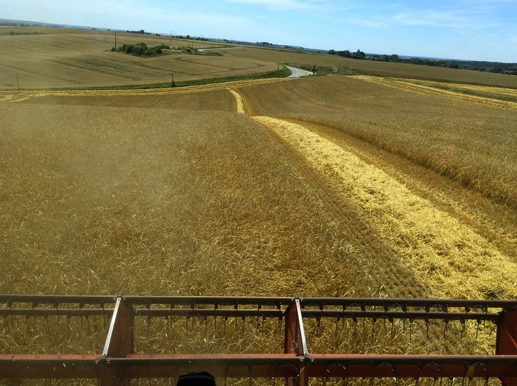 Agrosentidos10's tweet photo. Corte abierto, Ahora Vamos !!!
🌾#harvest17 🌾#yield17 🌾#Agricultura https://t.co/8zcmR6lvlG