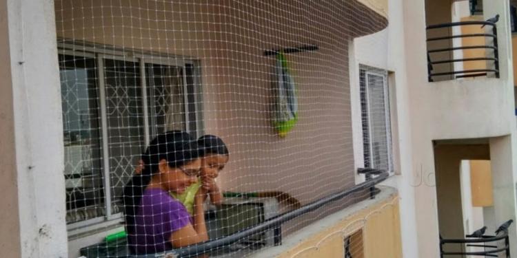NetsSpikes's tweet photo. #BalconyNetting is best method for repellent of bird. https://t.co/e802nKQ6Ng