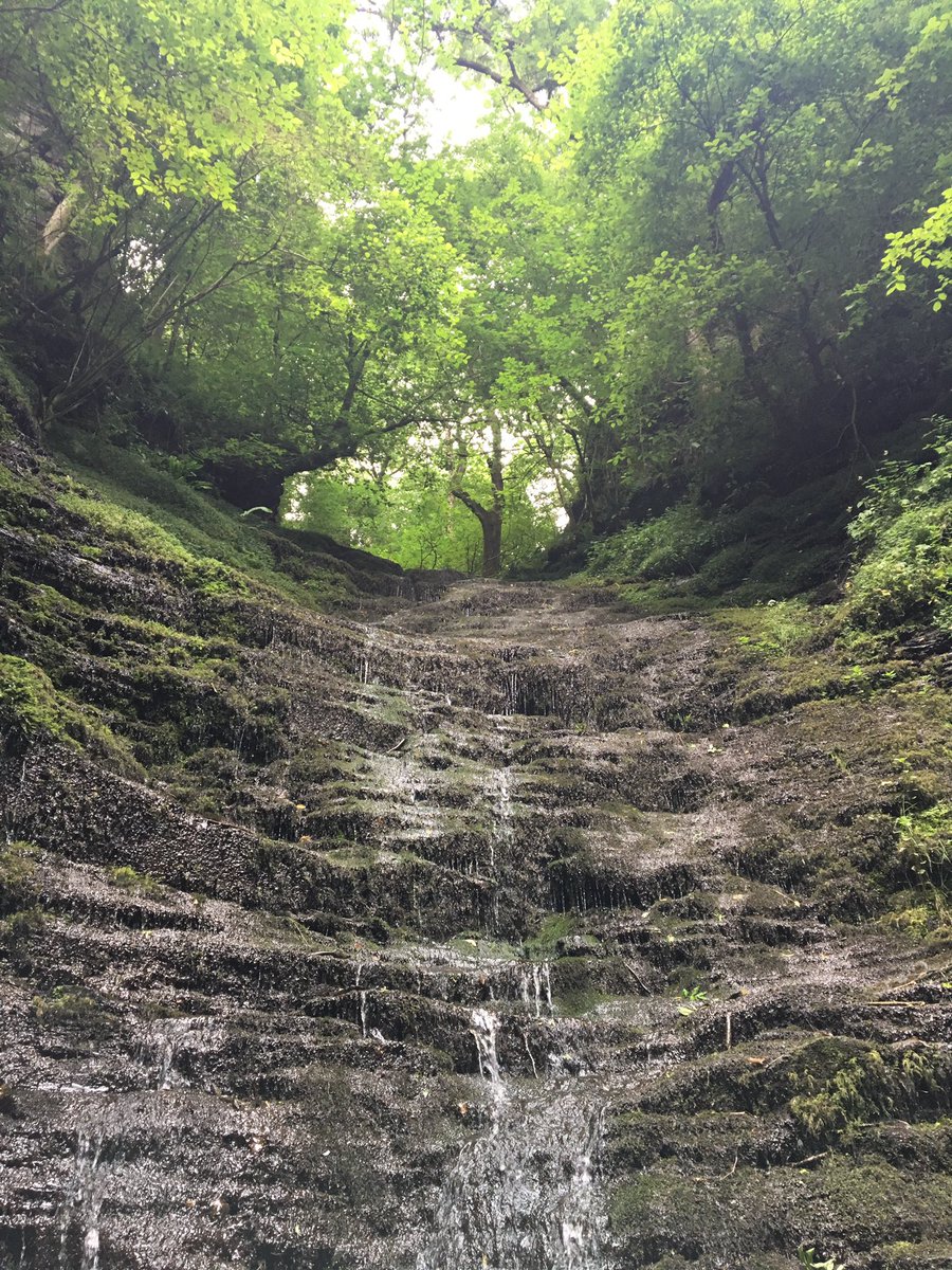 Oskymomo's tweet photo. The utterly beautiful, though currently not very fast flowing, #WaterBreakItsNeck #waterfall in #Radnorforest https://t.co/u7VwfXuwrc