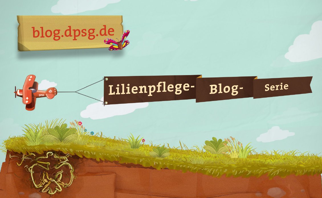 Update der Blogserie zur Lilienpflege: Heute mit Infos und Tricks zu Finanzen, Verein, Satzung und Gemeinnützigkeit
s.dpsg.de/buerokram