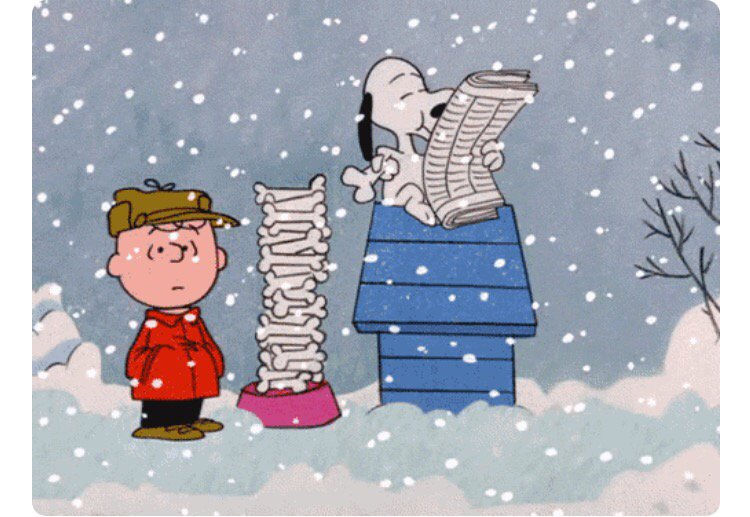 rosangela soares‎‎ (@rosangelarubens) on Twitter photo 