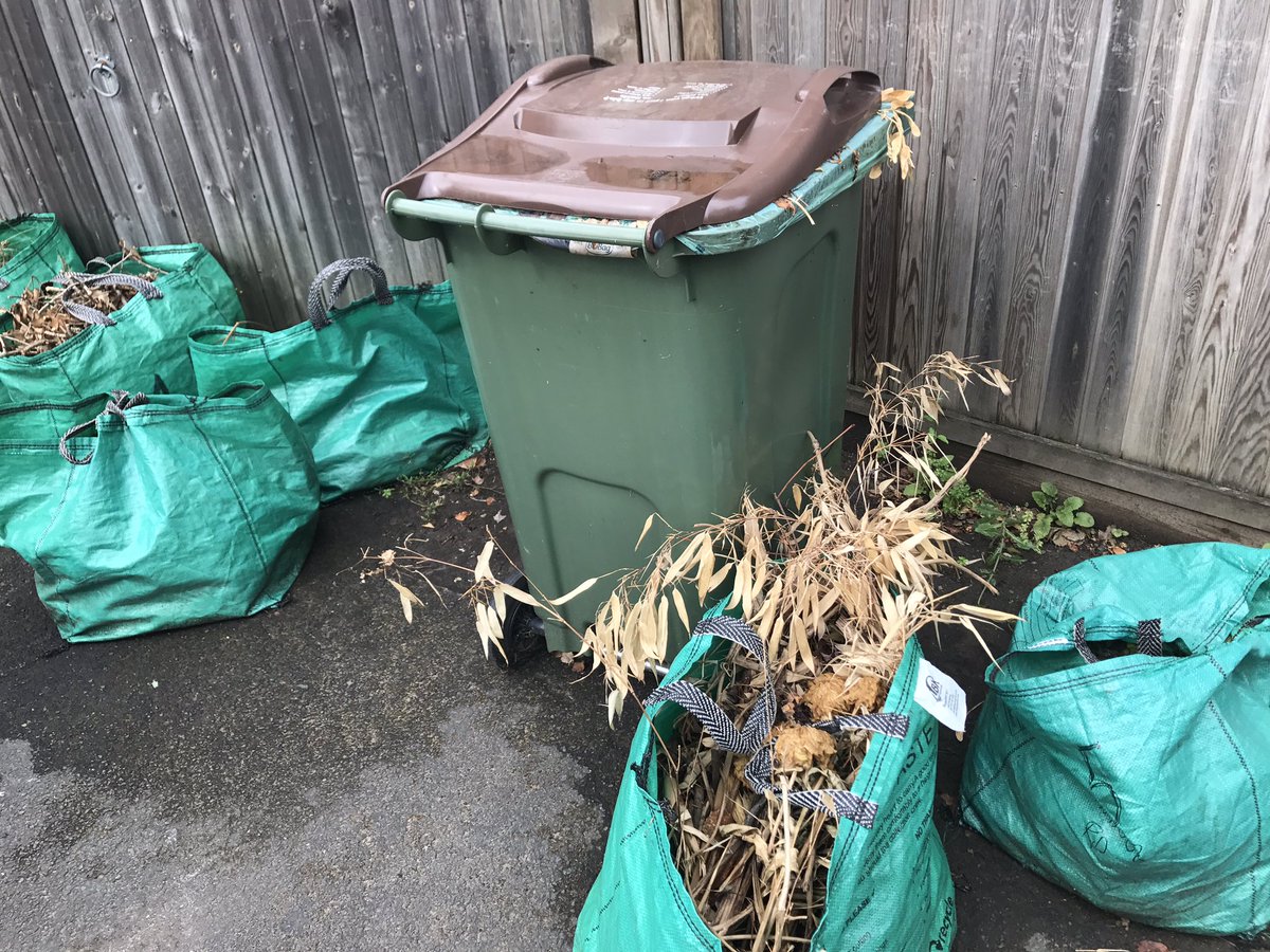 Del Manning tweet media