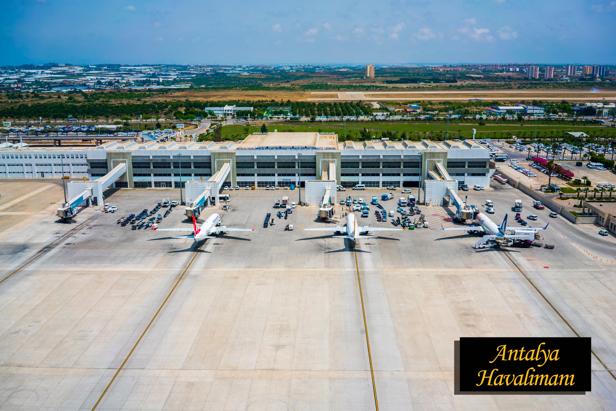 Funda Ocak on Twitter: \