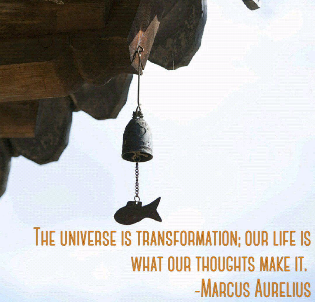 RaoNikhita's tweet photo. The universe is transformation...
How are you transforming your life?
#happythoughts #makeyourreality #stoicism #foodforthought https://t.co/sk1AJGXZoG