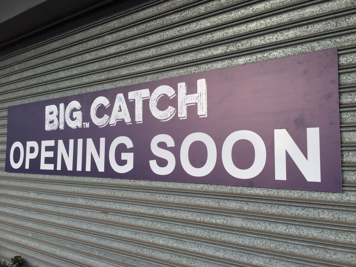 big catch paarden eiland