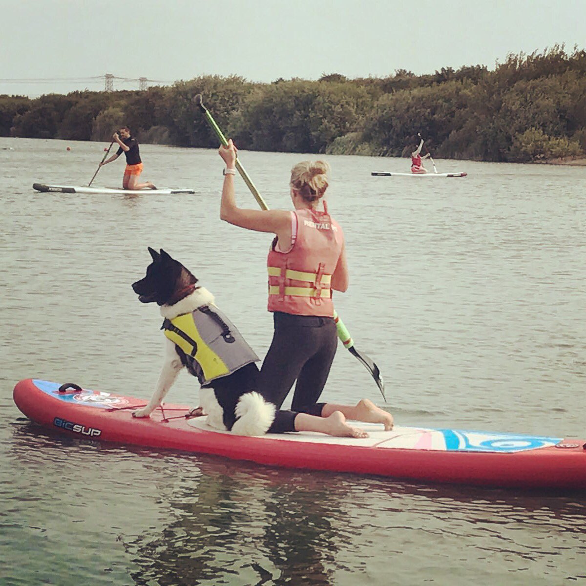 hotelkitty_'s tweet photo. Pupsthatsup#actionwatersports https://t.co/d4WeGDCseW
