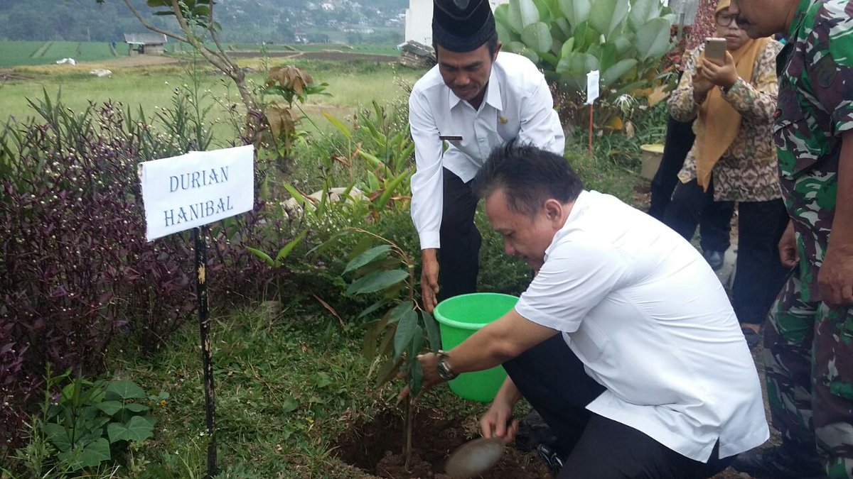 Penanaman pohon durian di desa Purworejo Kec. Ngantang Kab. Malang oleh Direktur PSD Bp. Hanibal Hamidi