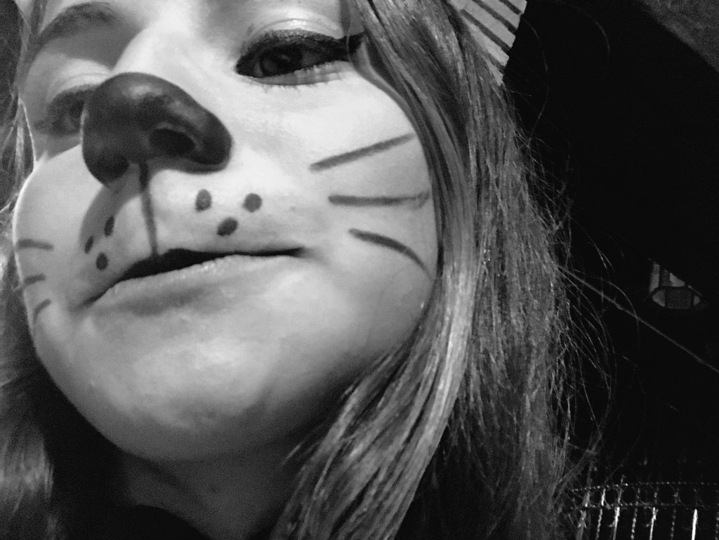 estheerbelles10's tweet photo. 😻😼😻😼😻💞 https://t.co/BKNGyFHbgG