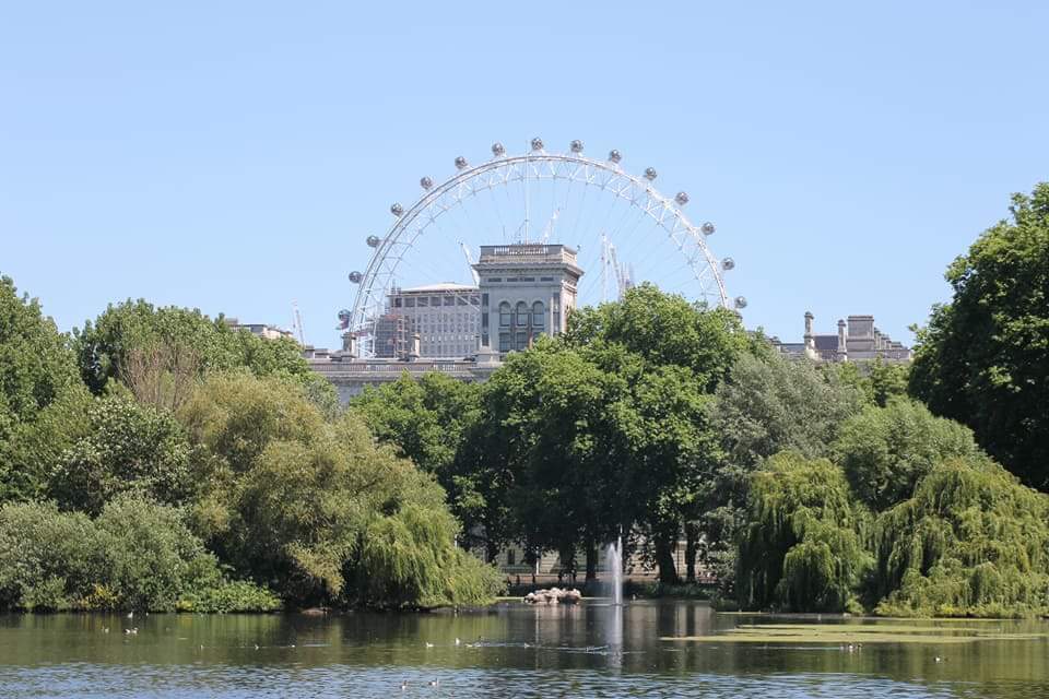 The Resident tweet media