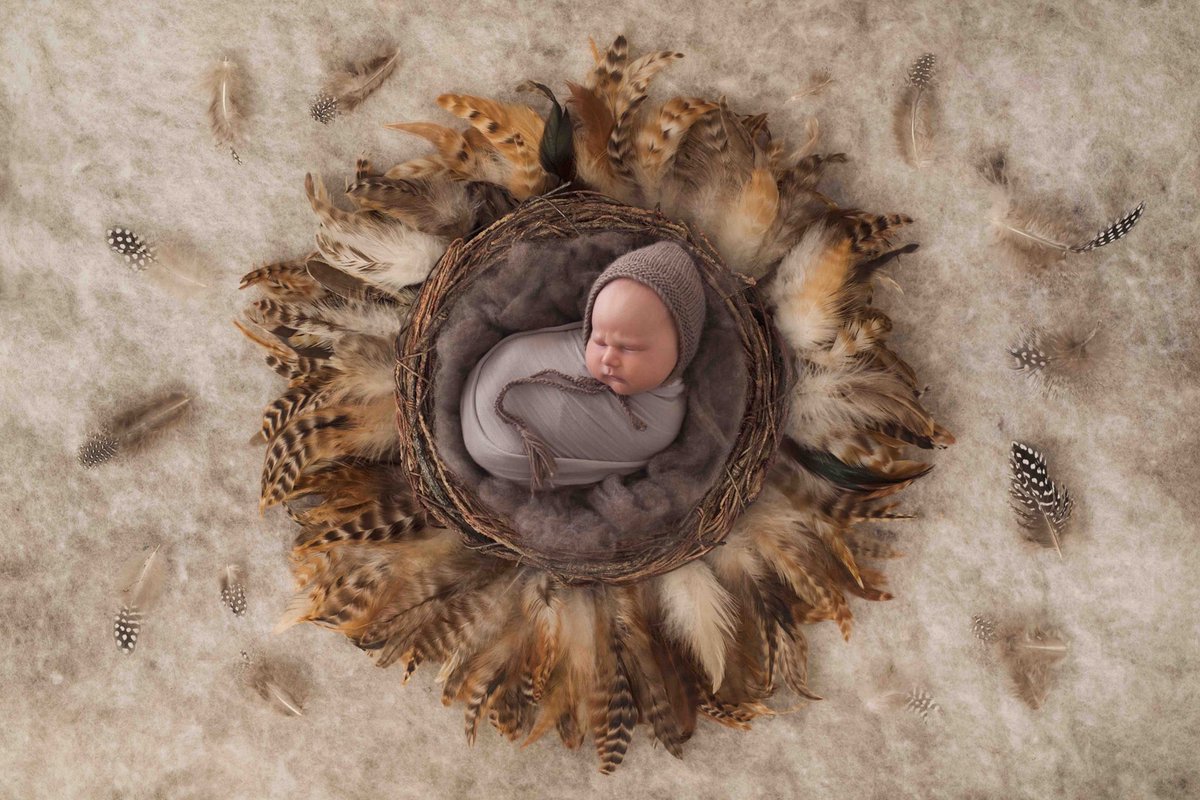 The_Chick's tweet image. Arlo 8 days

#brisbanenewbornphotographer