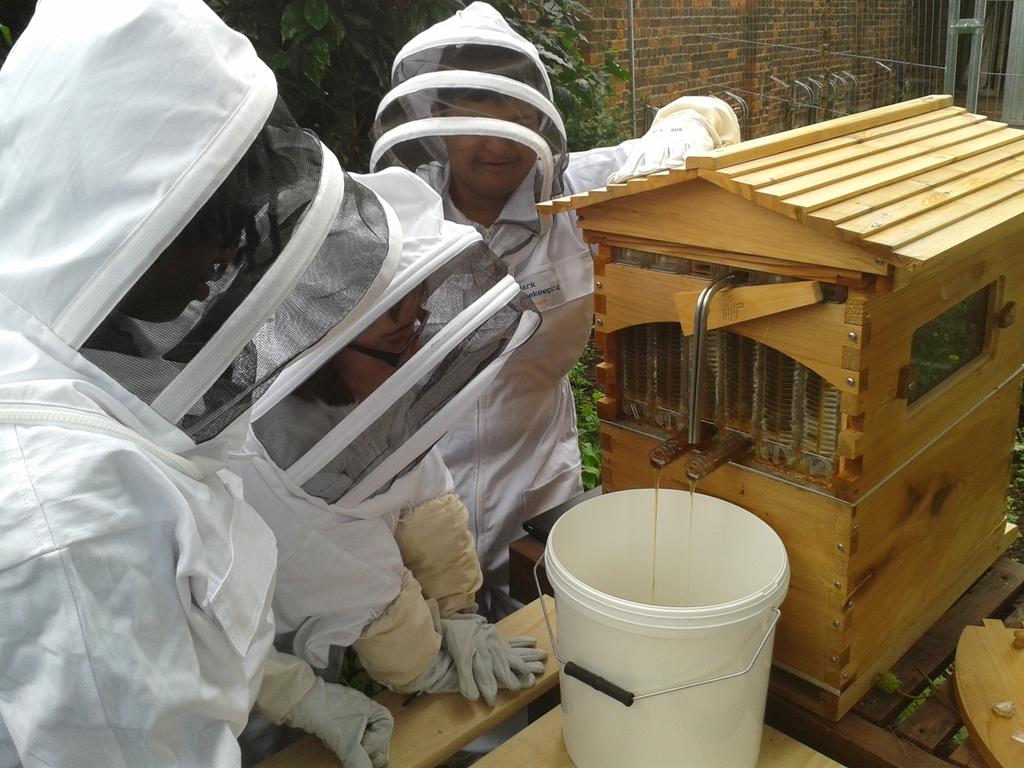 CPA_Beekeepers's tweet image. It is happening! Our first honey harvest at the Academy! #happystudents #honey #beekeeping