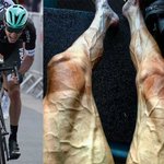 Curate, compile, and create stories - Chirpstory