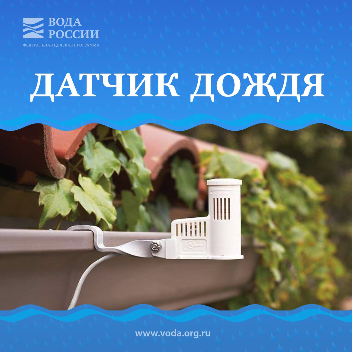 Water_Russia's tweet image. #лайфхак #БерегиВодуНаДаче #датчикдождя позволяет защитить #растения от перелива, сэкономить воду, и #электричество #ВодаРоссии #БерегиВоду
