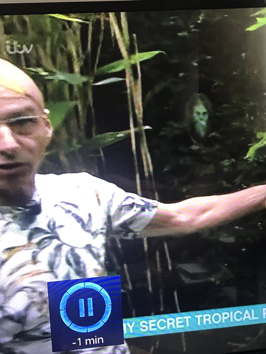 Doug_Tyler's tweet photo. Why is there a face in the trees in the secret tropical rainforest? 😂@thismorning #ThisMorning https://t.co/J2ImDk9Dxs