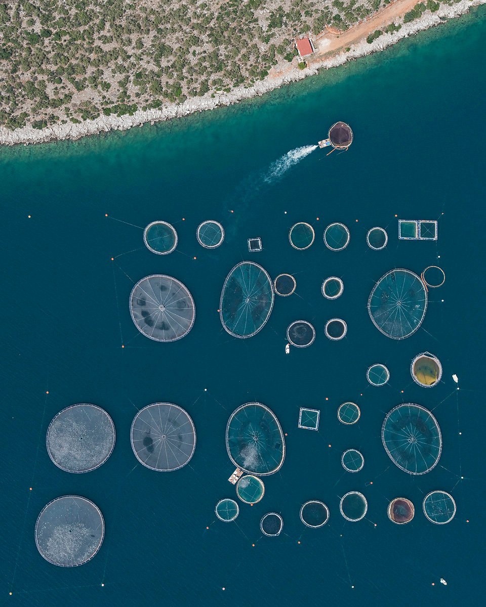 blueBILBAO's tweet photo. Acuicultura y geometría a vista de pájaro. No os perdáis este original trabajo del fotógrafo Bernhard Lang #Fotografía https://t.co/OFVPr5Tdxd