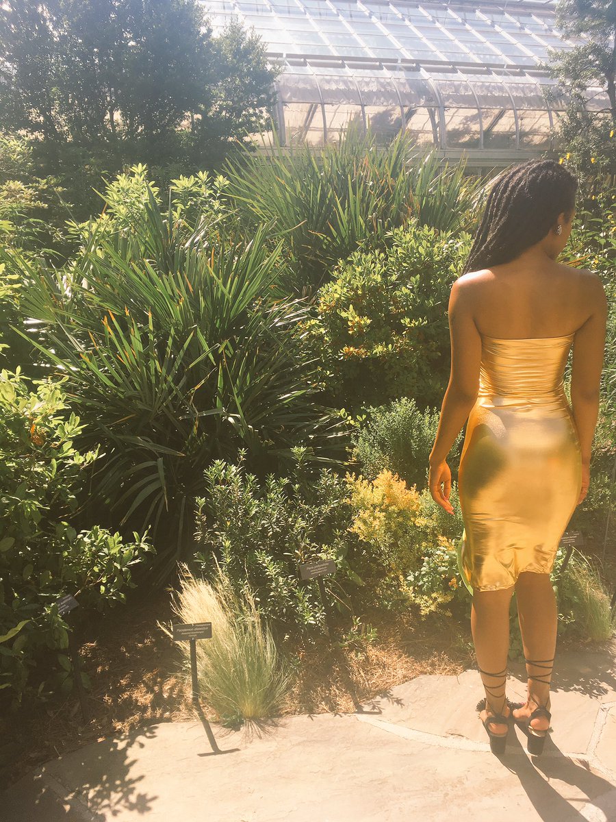 ShopALSBoutique's tweet photo. That Golden Goddess dress would look superb against that Melanin! ✨✨ https://t.co/8ShqNqzrgX