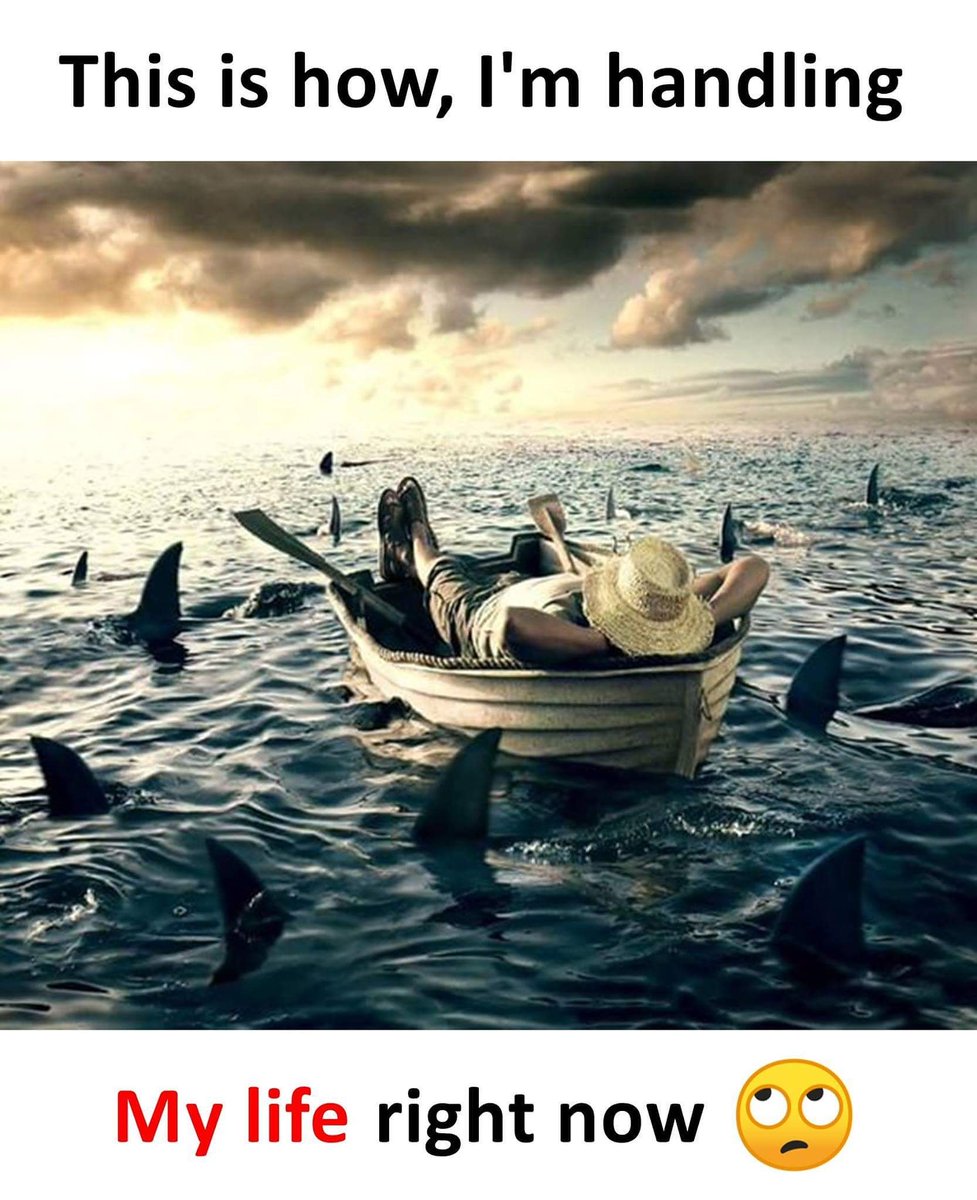 Kaiser Farhad tweet media