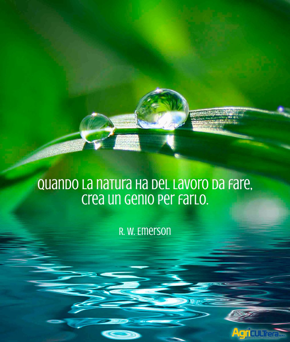 AgriCultrera's tweet photo. Geni, a noi! Abbiamo tutti gli strumenti per far esplodere le vostre idee https://t.co/oeulY2F1Gt 📞 0931 1840852 #innovazione #agricoltura https://t.co/9ilaf9QAk5