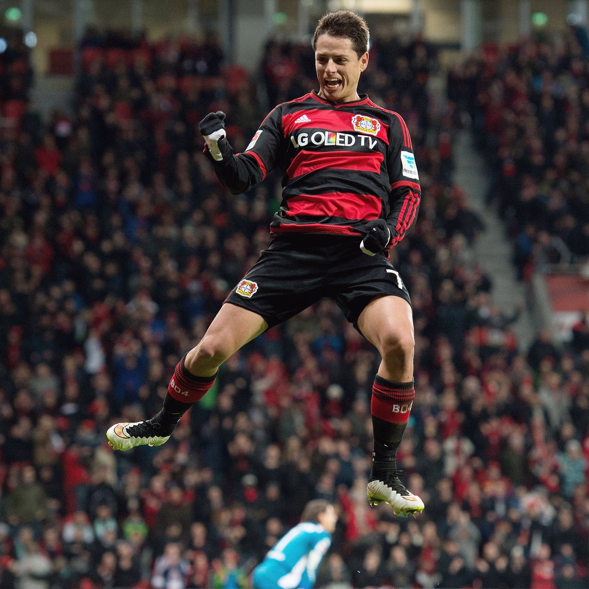 SoccerAM's tweet photo. Javier Hernandez has a release clause of £13m. RT if you'd sign him for your club at that price 😳 https://t.co/zJuWm2z6x2