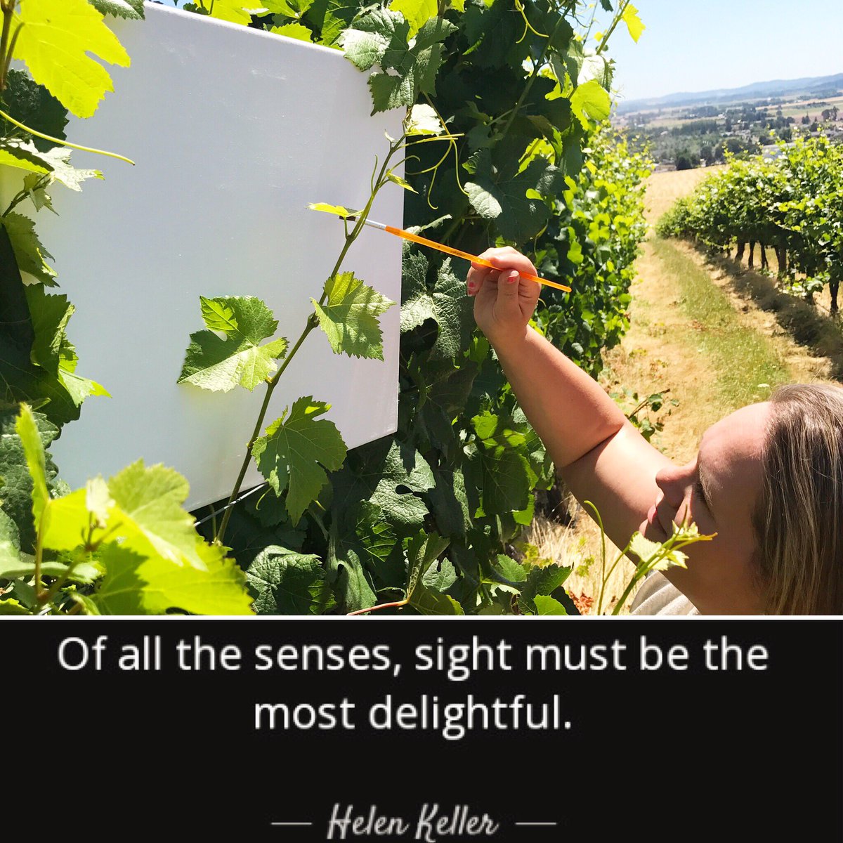WovenWineworks's tweet photo. Join our multi-sensory journey this Friday @cellar503 from 5-9pm LOOK forward to a colorful evening of BLIND wine tasting #wovenwinebar https://t.co/x4KSk0eqQy