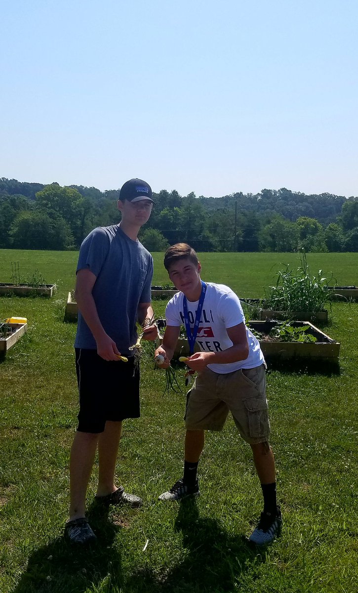 anie2091's tweet photo. Productive morning @SMHSSTEM garden!!! https://t.co/ODbC5dRzW3